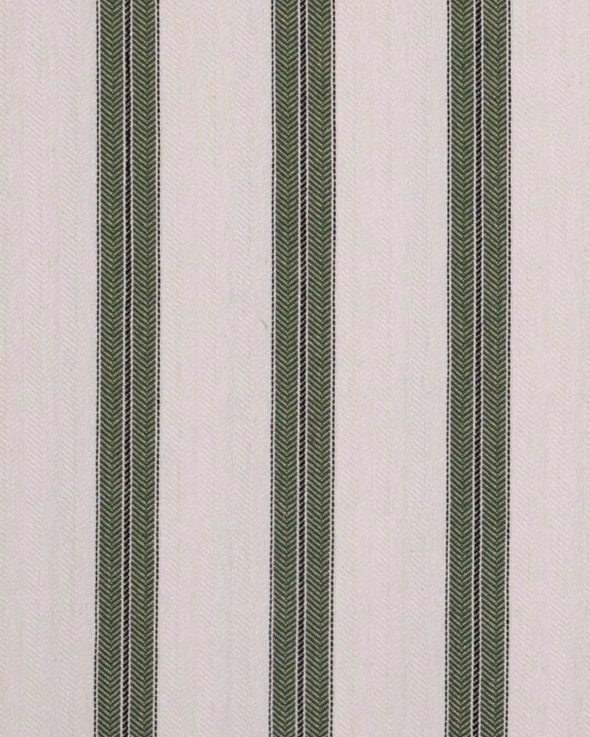 Raya Galería Verde Oliva