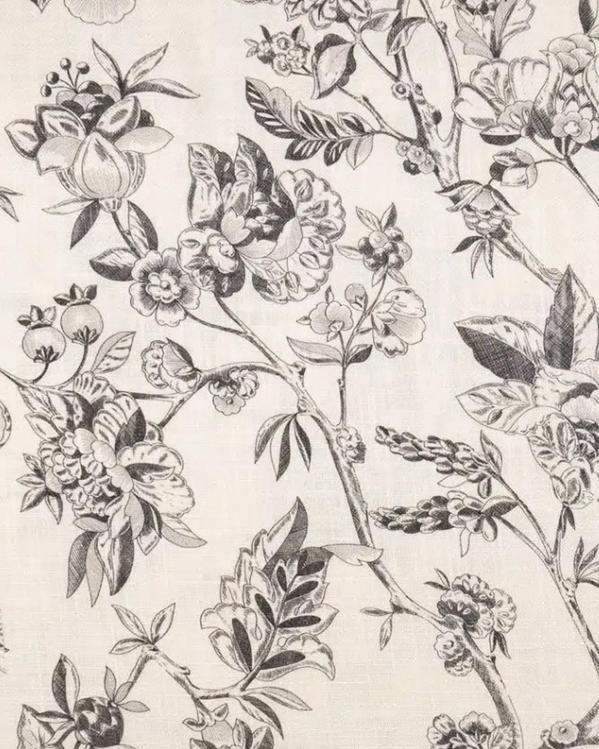 Toile Botánica Carbón