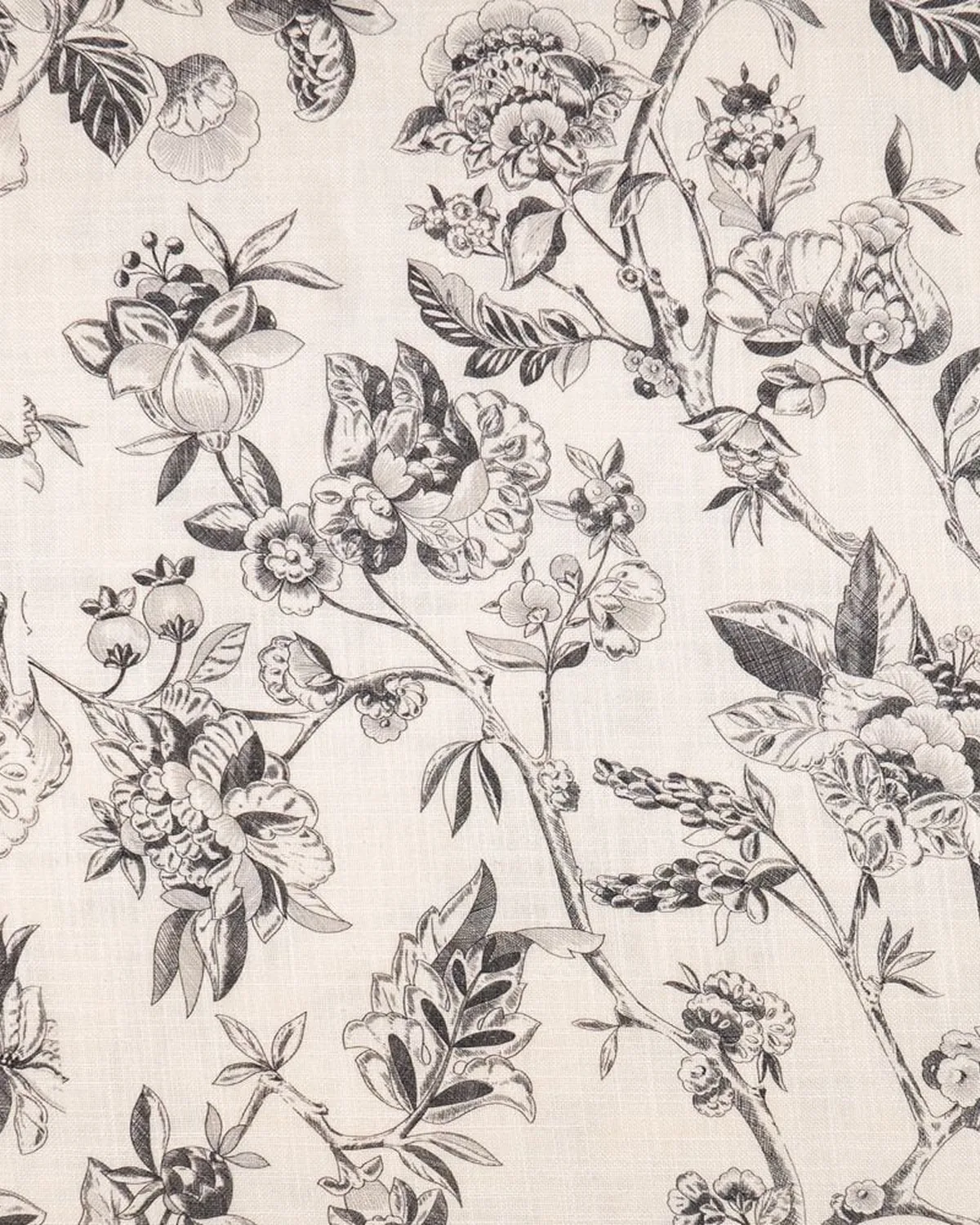 Toile Animales Carbón