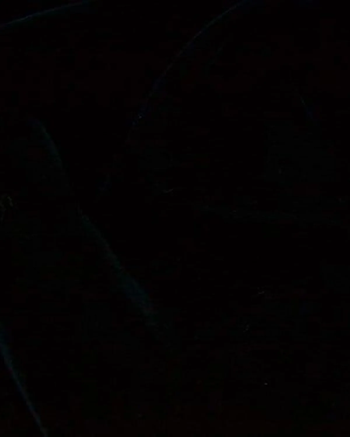 Terciopelo Negro Carbón