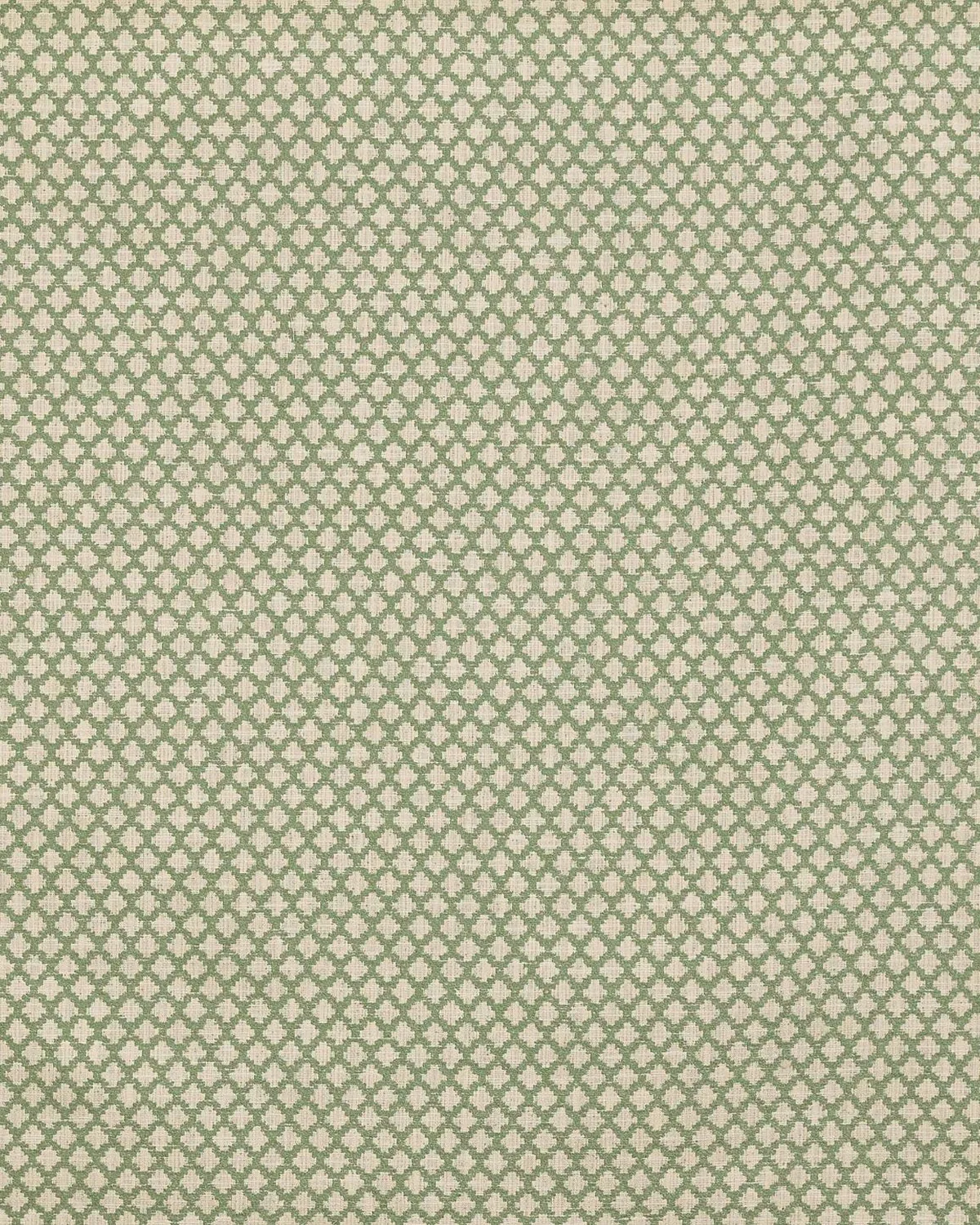 Geométrico Hexágono Salvia