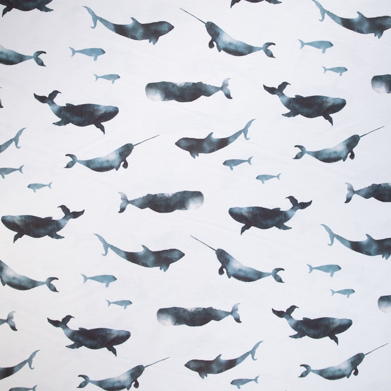 Tela Leones Fondo Marino